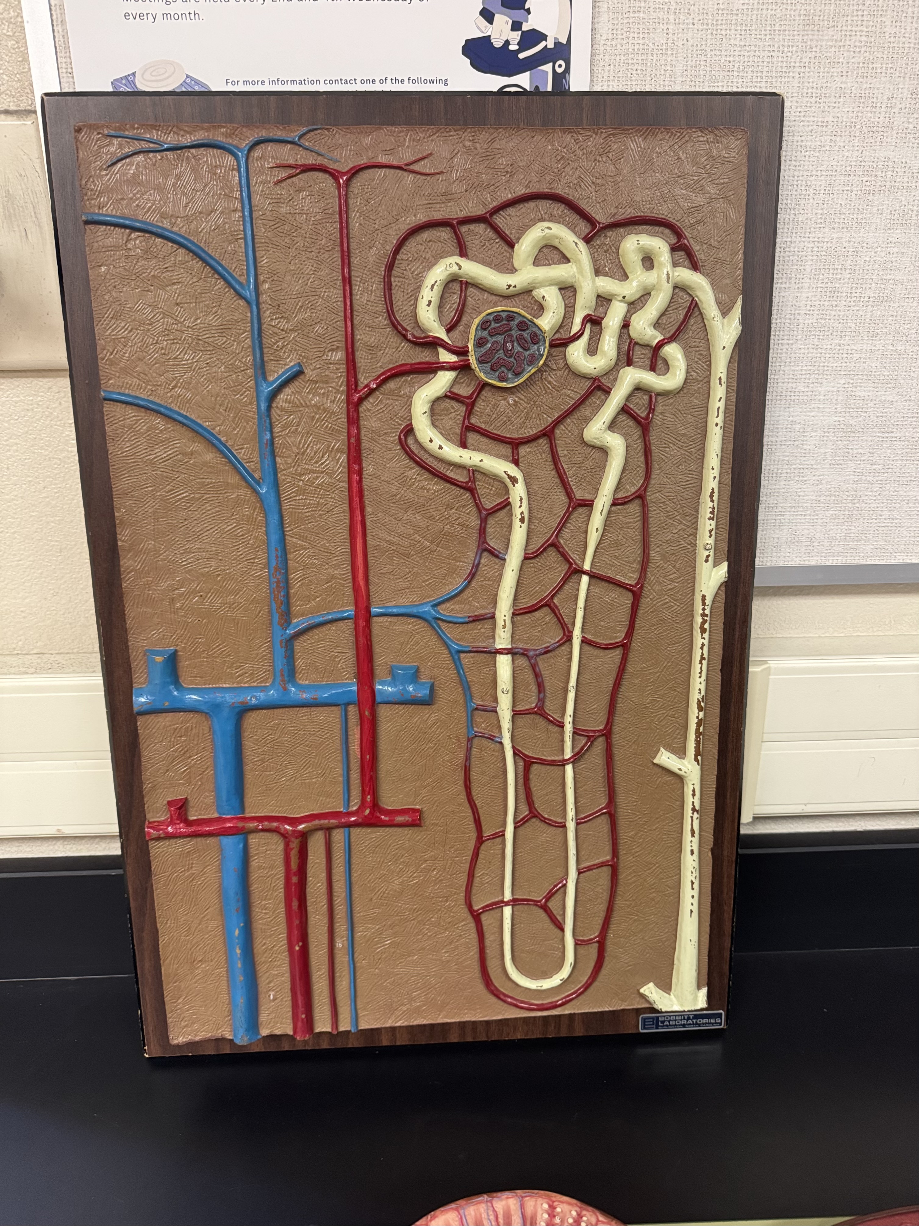 <p>What is this structure </p>