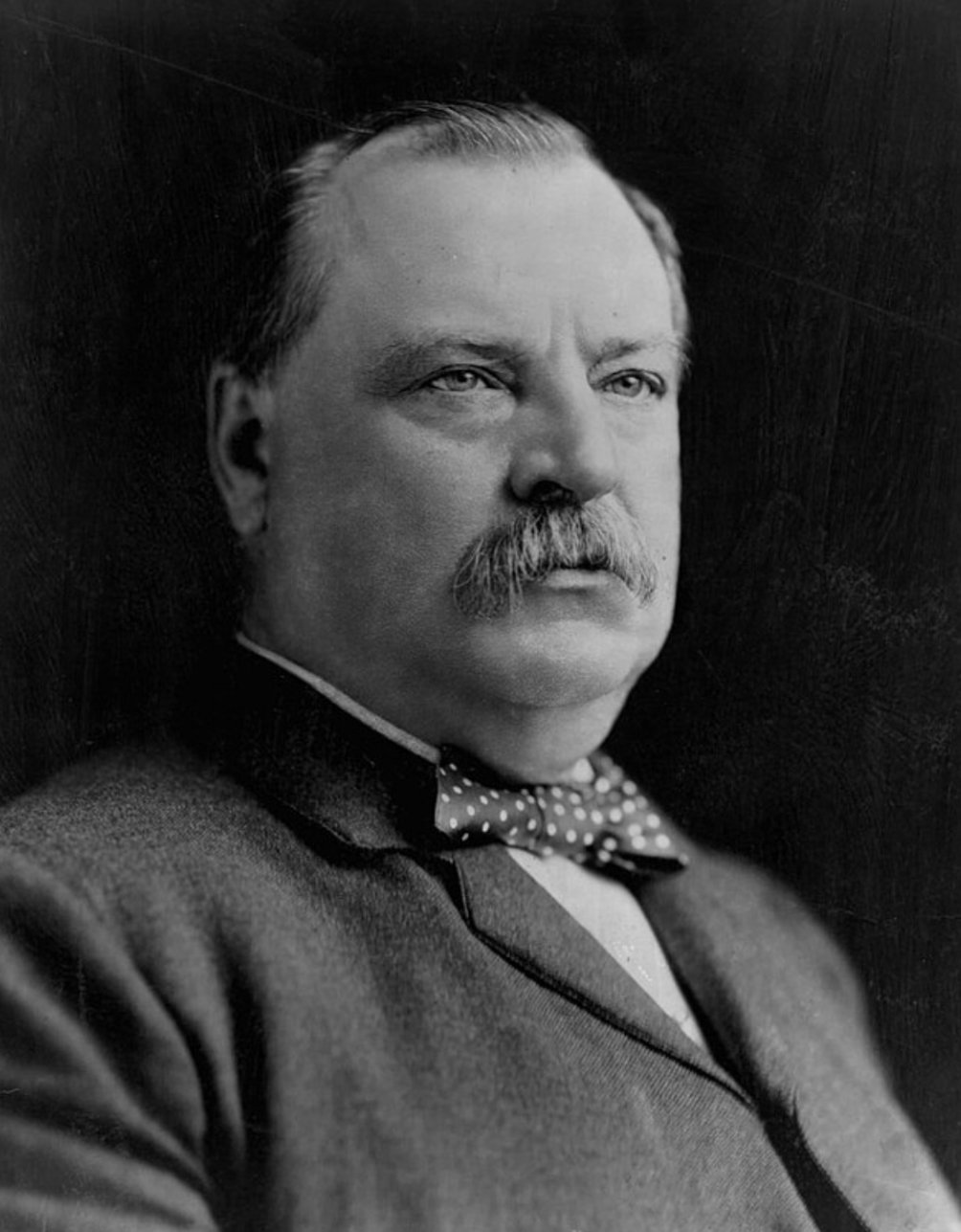 <p>22nd and 24th President</p>