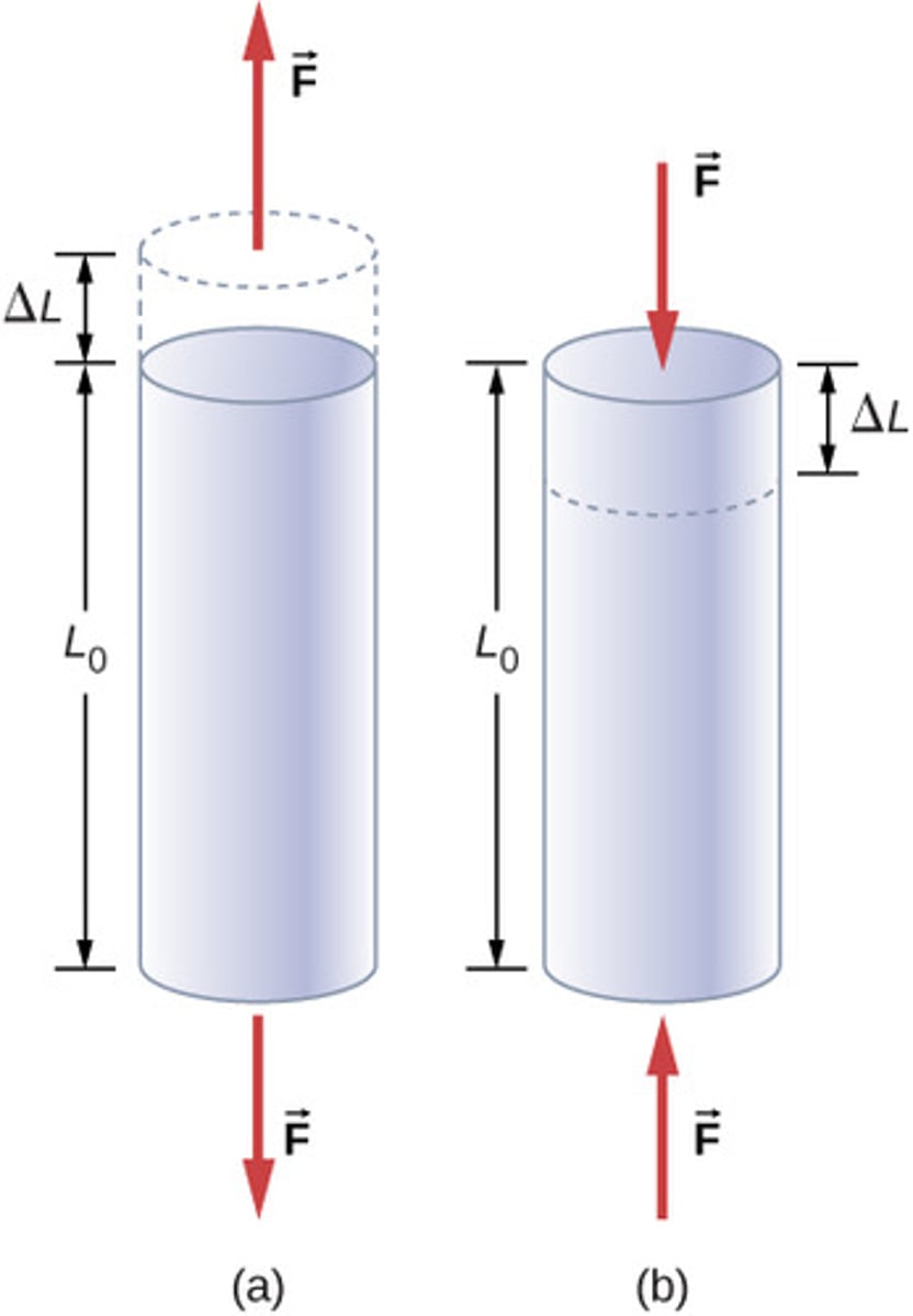 <p>Relatīvā deformācija parāda, cik liela daļa ir absolūtā deformācija no sākuma garuma, un to aprēķinām pēc formulas:<br>ϵ=Δ𝑙 / 𝑙0<br>ϵ - relatīvā deformācija</p>