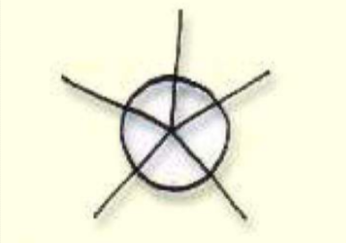 <p>Radiocentric </p>