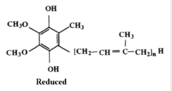 <p>What structure is this?</p>