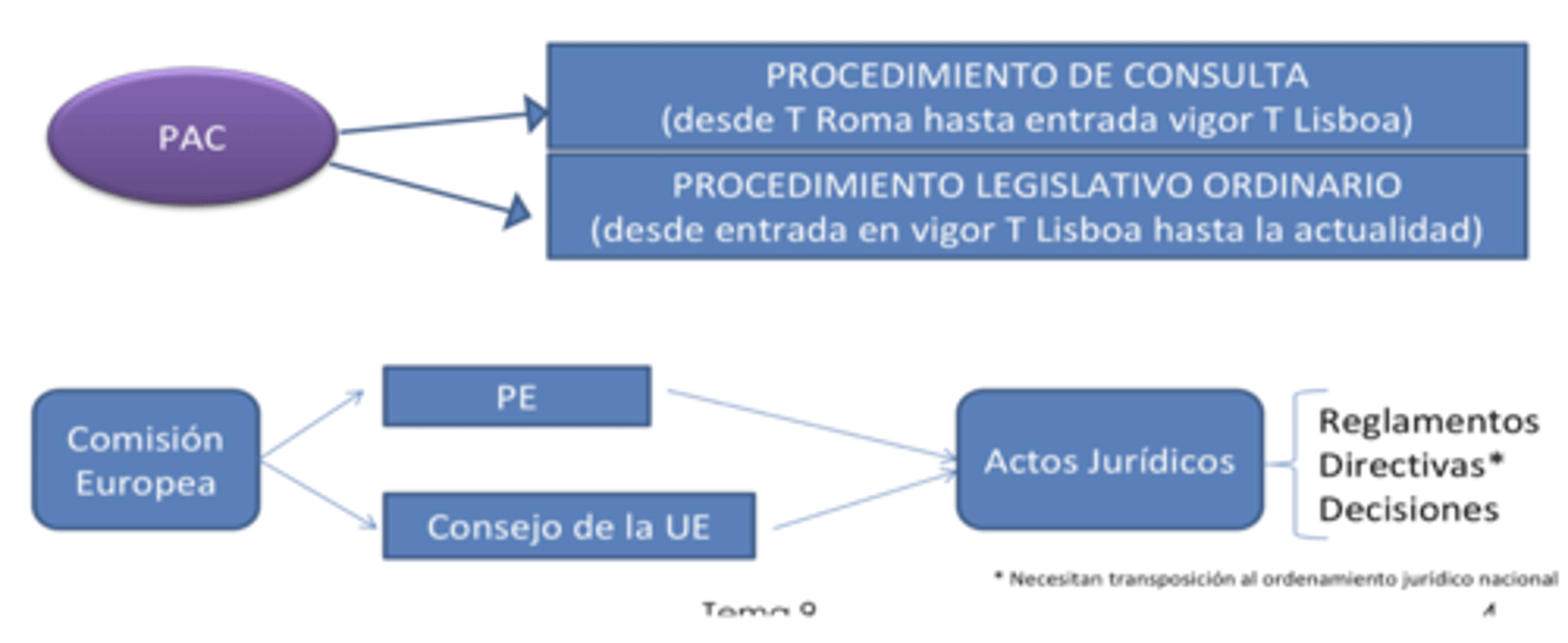 <p>PE y consejo de la UE</p><p>- reglamentos</p><p>- directivas</p><p>- decisiones</p>