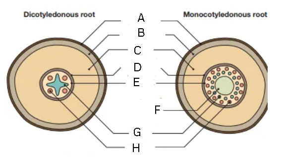 <p>Label this diagram</p>