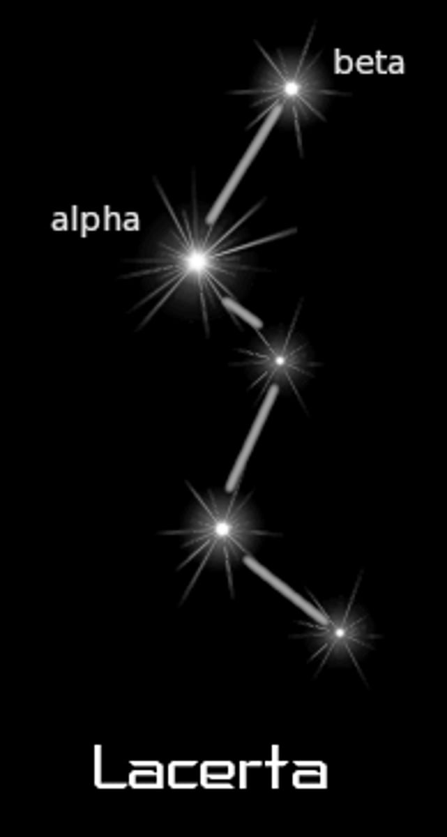 <p>lizard / brightest star: Alpha Lacertae (α Lac)</p>