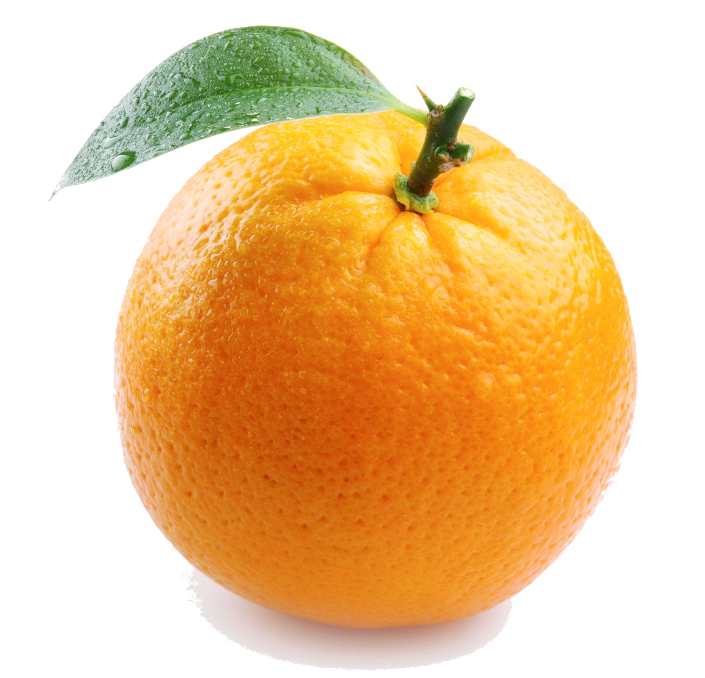 <p>orange (n)</p>
