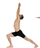 <p>What Pose Is This?</p>