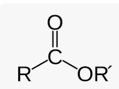 <ul><li><p>suffix is -oate</p></li></ul><p></p>