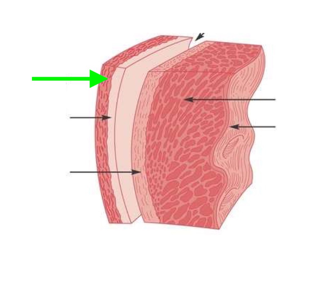 <p>what is this?</p>