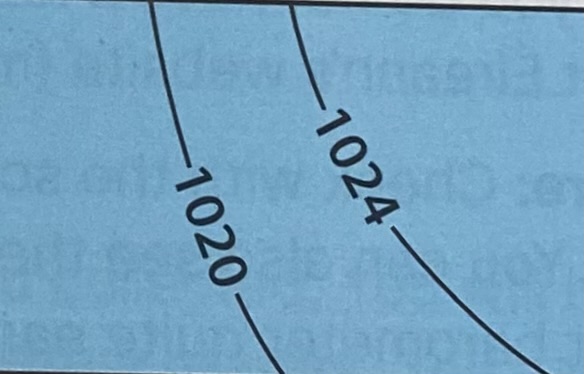 <p>What does this mean? </p>