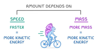 <p>speed and mass</p>
