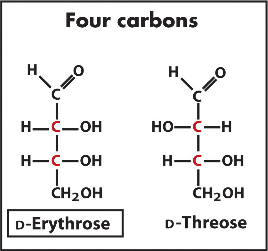 <p>What is the relationship between these two isomers? Why?</p>