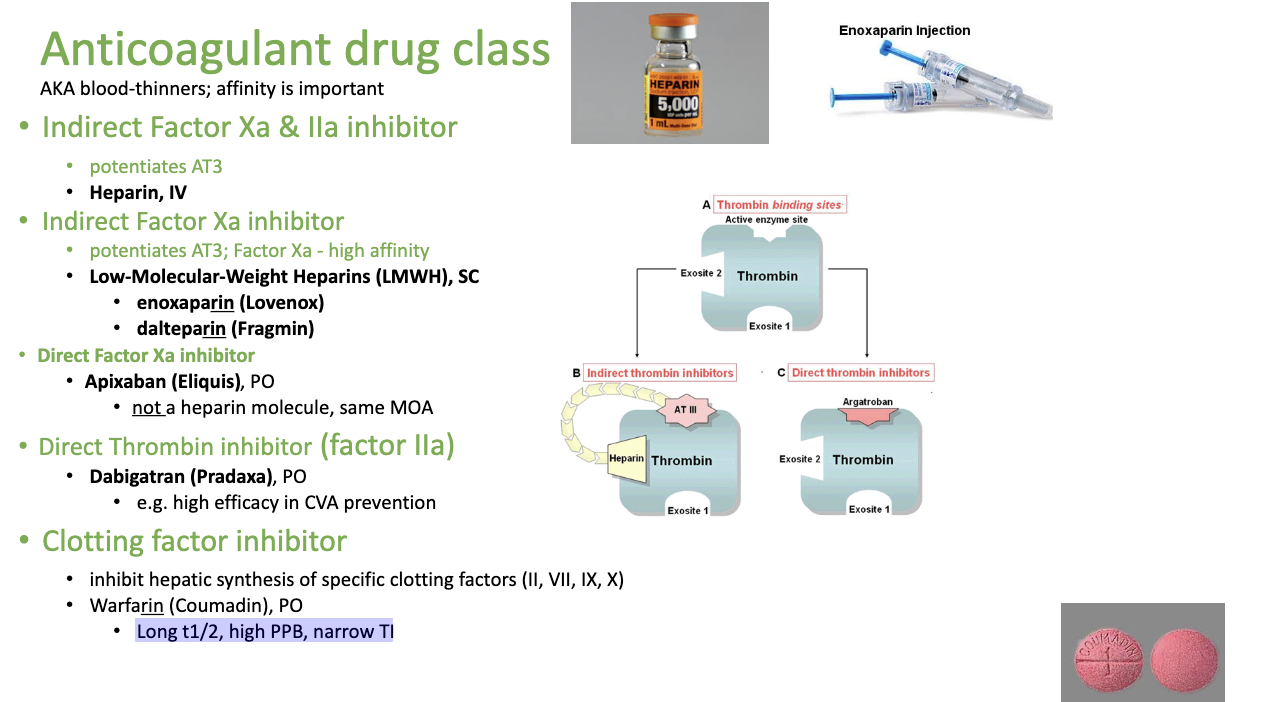 <p><span style="color: red;"><strong>WARFARIN —> WAR —→ STOPPING CLOTTING FACTORS</strong></span></p><ul><li><p>this works via. Liver —> so it stops the liver from producing clotting factors at all. HENCE WHY IT’S DANGEROUS</p></li><li><p><span style="color: red;"><strong><span>Long t1/2, high PPB, narrow TI</span></strong></span></p></li></ul><p></p>