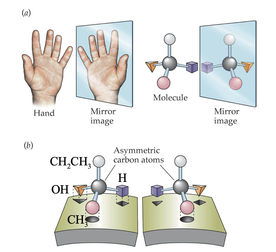 <ul><li><p>Occur when a carbon has four different groups attached (chiral centre)</p></li><li><p>Non-super imposable mirror images of each other</p></li></ul>