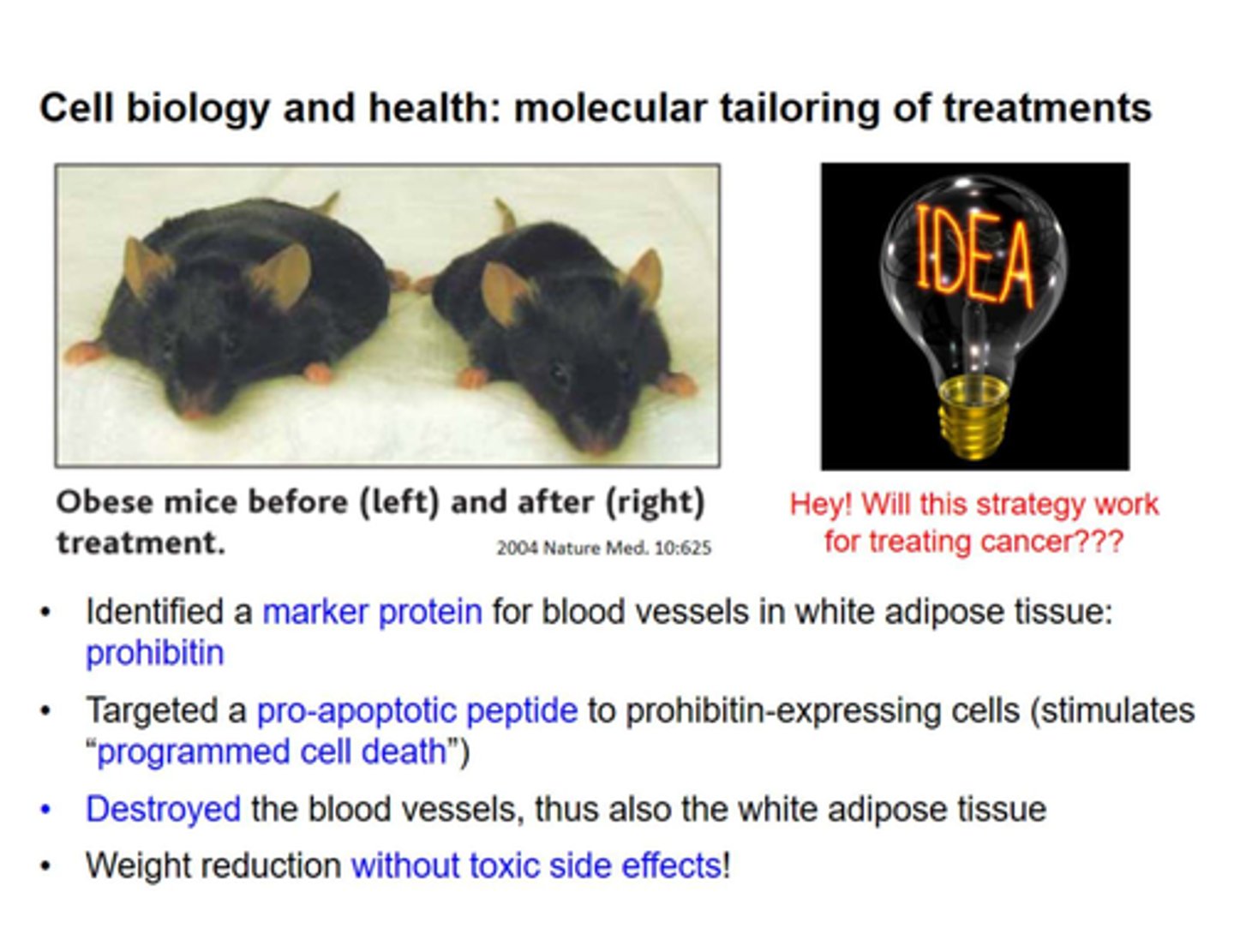 <p>- prohibitin: marker protein in blood vessels of white adipose tissue</p><p>- a pro-apoptotic peptide targets cells expressing prohibitin and causes apoptosis</p><p>- this causes blood vessels in white adipose to die which caused the white adipose tissue to die too</p><p>- weight reduction without toxic side effects</p><p>- application: the idea of targeting tumor blood vessels to inhibit growth </p>