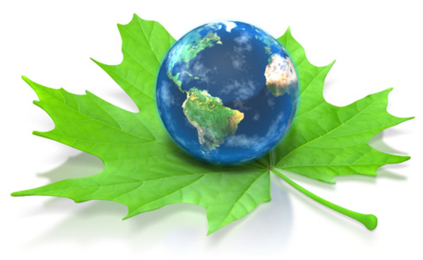 <p>n., the natural world</p>