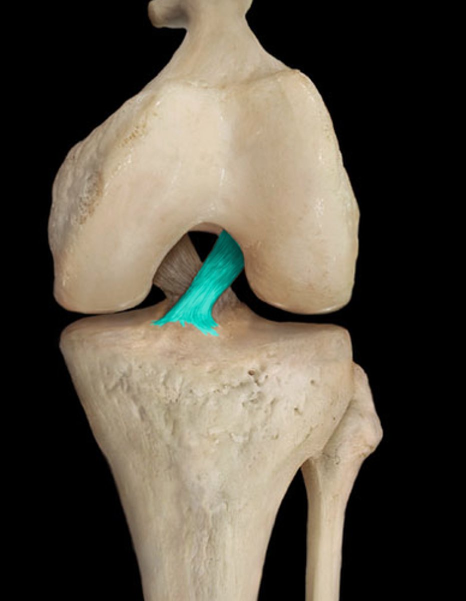 <p>ID structure</p>
