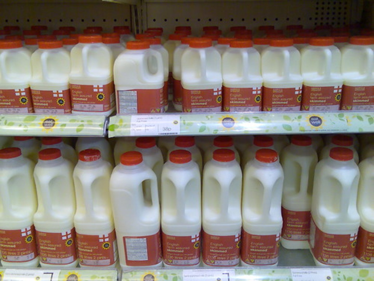 <p>milk</p>