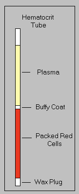 <ul><li><p>The percentage of blood volume filled by erythrocytes</p><ul><li><p>Ex: in 100 mls of blood, if the HCT is 0.45 L/L then erythrocytes occupy 45ml</p></li></ul></li></ul><p></p>