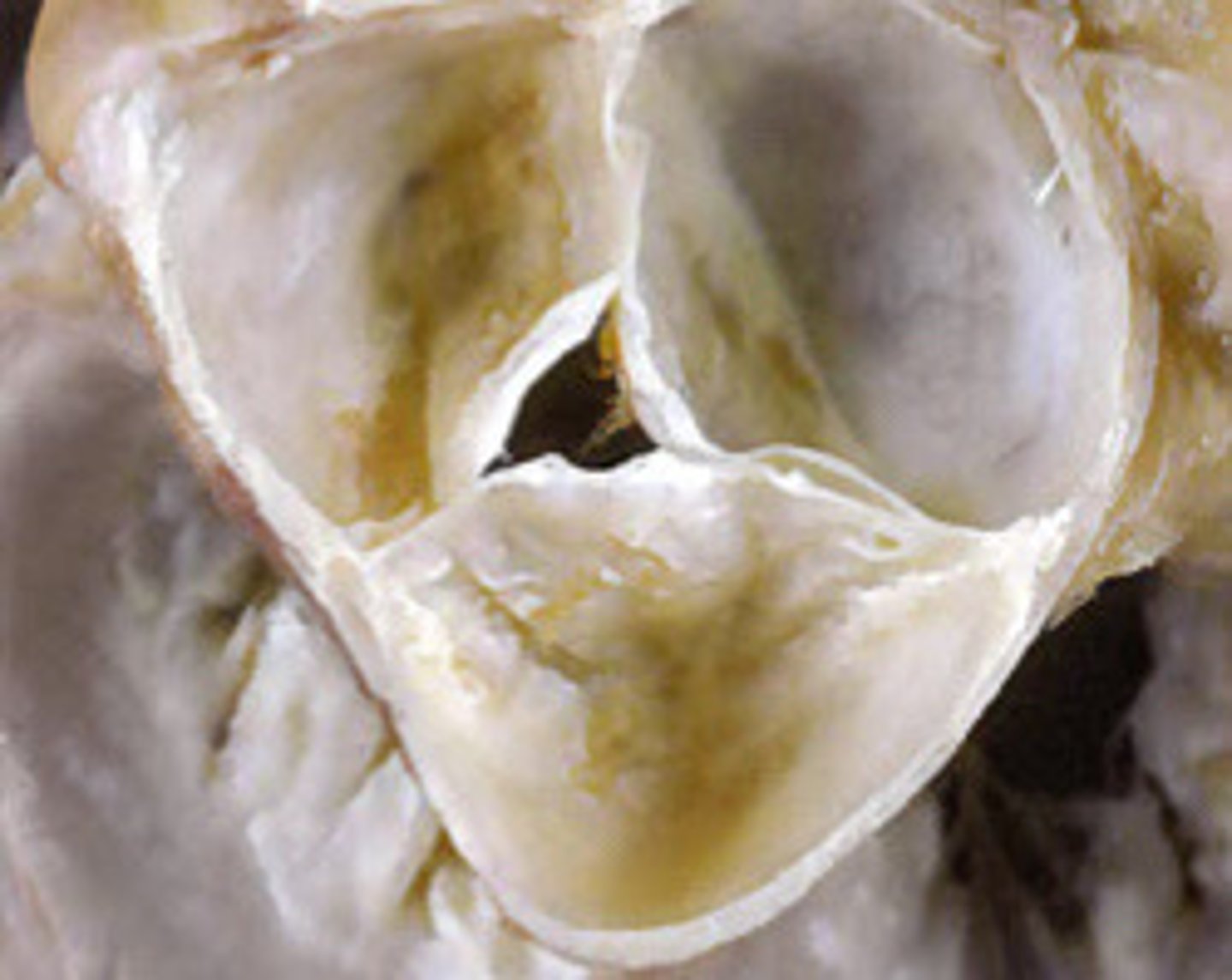 <p>What does this image represent</p>