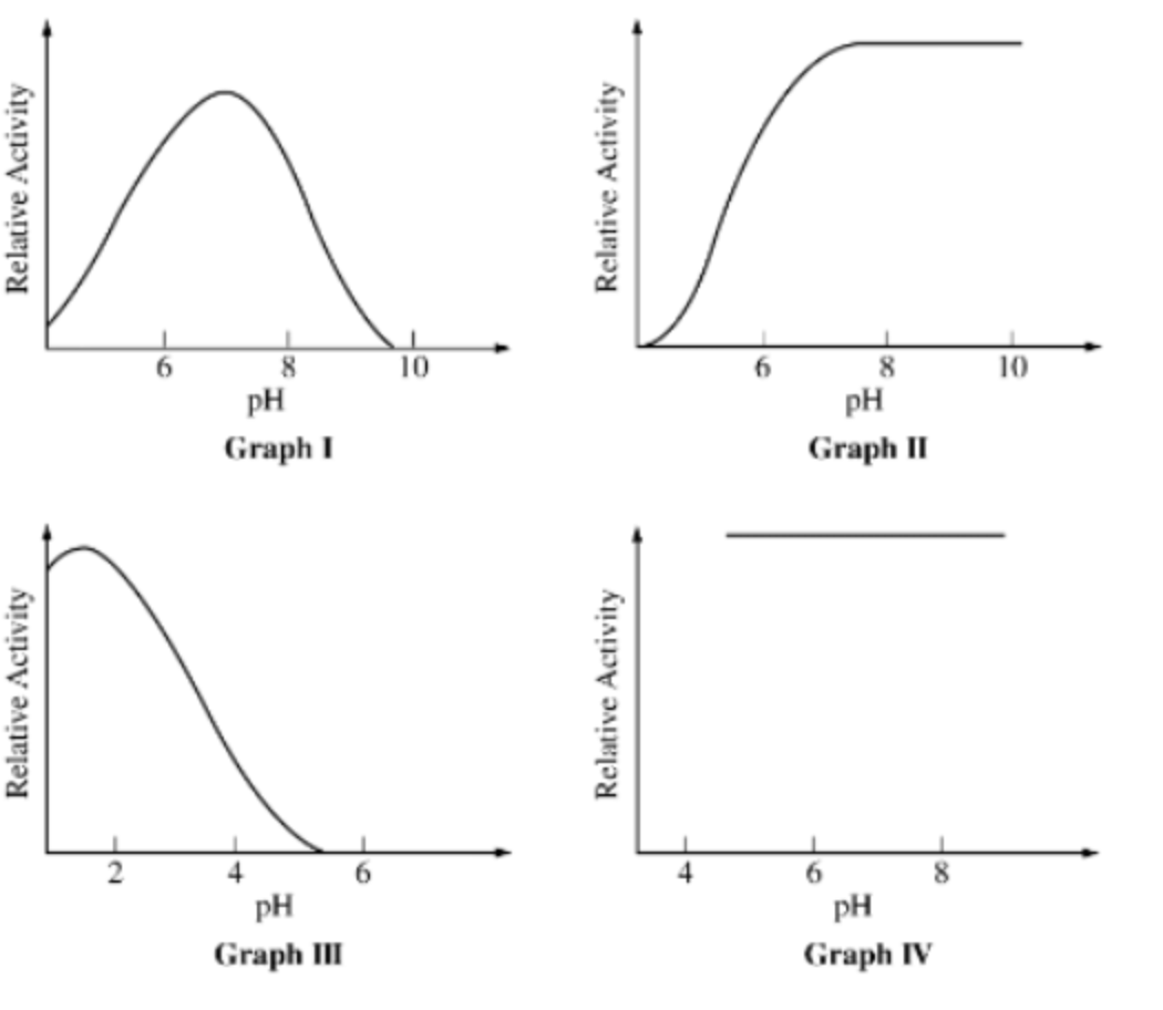 <p>For the following questions: Graphs I-IV depict the effect of pH on the activity of four different hydrolytic enzymes.</p><p></p><p></p><p>Graphs representing enzymes sensitive to changes in pH include which of the following?</p>