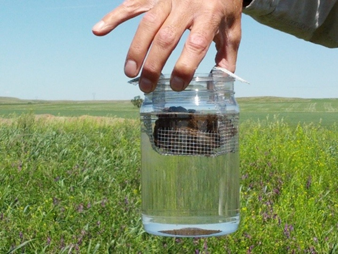 <p>A field test to determine the stability of soil aggregates</p><p>-when placed in water, stable soil structures will remain intact longer than unstable ones</p>