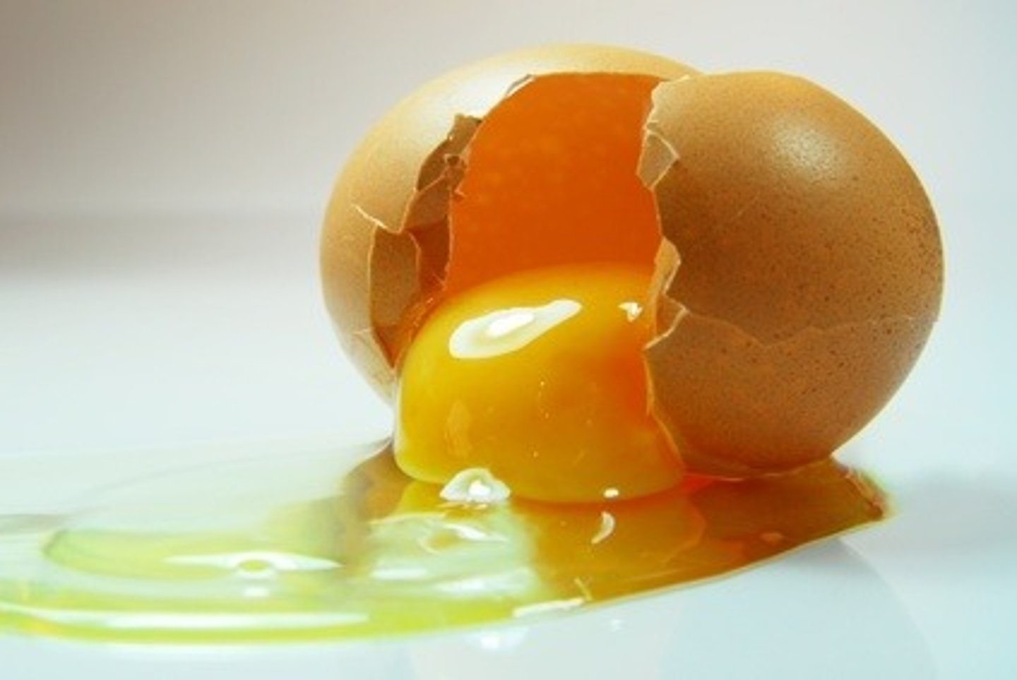 <p>egg</p>