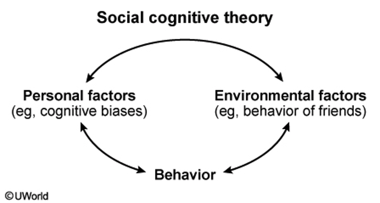 <p>A. social cognitive</p>