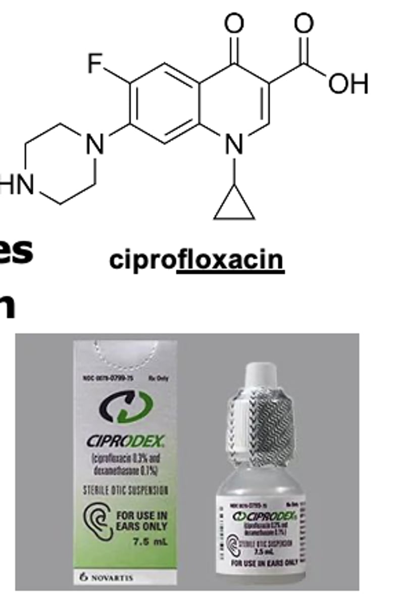 <p><strong>- Cipro<span style="text-decoration:underline">floxacin</span> + dexametha<span style="text-decoration:underline">sone</span> otic drops (Ciprodex®)</strong></p><p><strong>- Hydrocorti<span style="text-decoration:underline">sone</span> + glacial acetic acid otic drops (Vosol HC®)</strong></p>