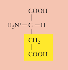 <ul><li><p>Acidic</p></li><li><p>Asp, D</p></li><li><p>α-COOH pKa: 2.1</p></li><li><p>α-NH3+ pKa: 9.8</p></li><li><p>R-Group pKa: 3.9</p></li></ul><p></p>