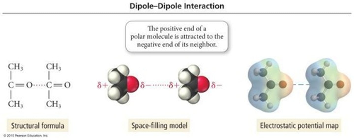 <p>Dipole-dipole interactions occur between polar molecules.</p>