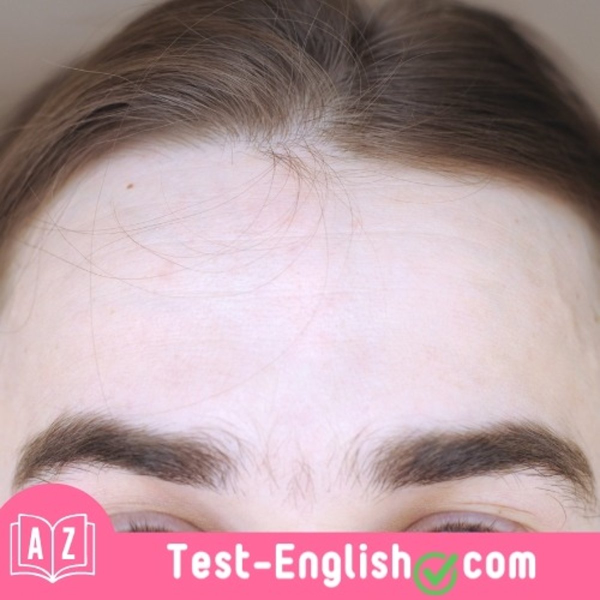 <p>Lisa's long hair covers her _____.</p>