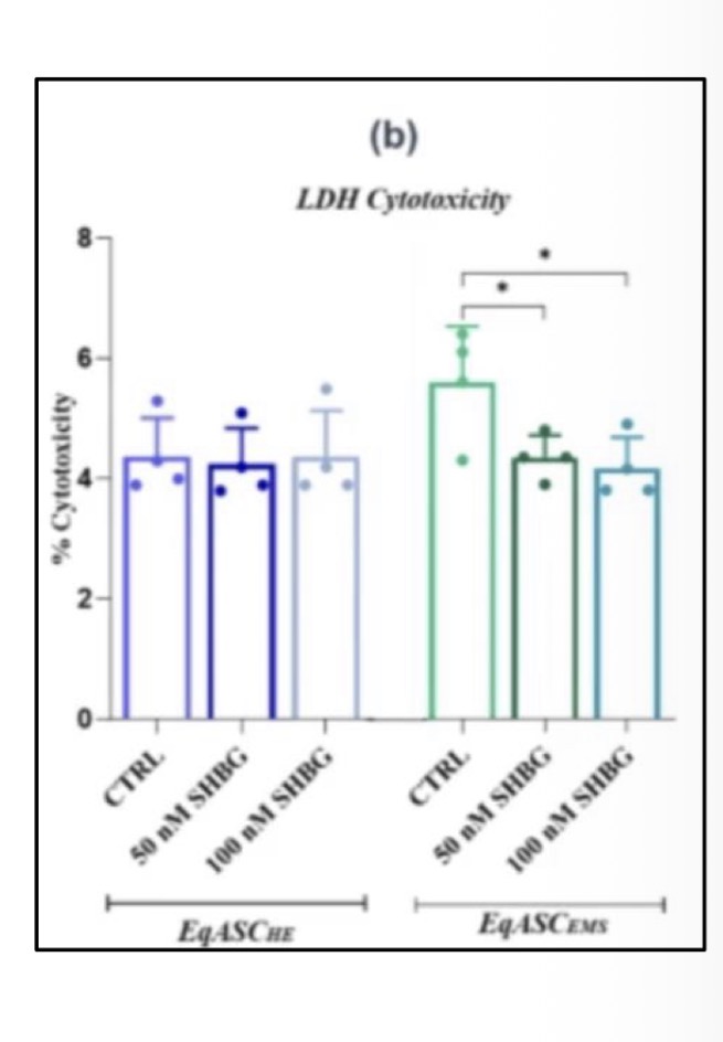 <p>Bourebaba et al (2023) tested a treatment for equine metabolic syndrome: supplemental sex-hormone binding globulin (SHBG). They tested 0 nM, 50 nM and 100 nM in two treatments: healthy horses (CHE) and diabetic horses (CEMS). What conclusions can you make from this graph?</p>