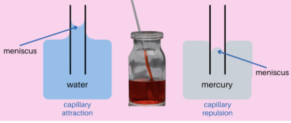 liquid flow through a narrow space from the combined effects of cohesion, adhesion and surface tension