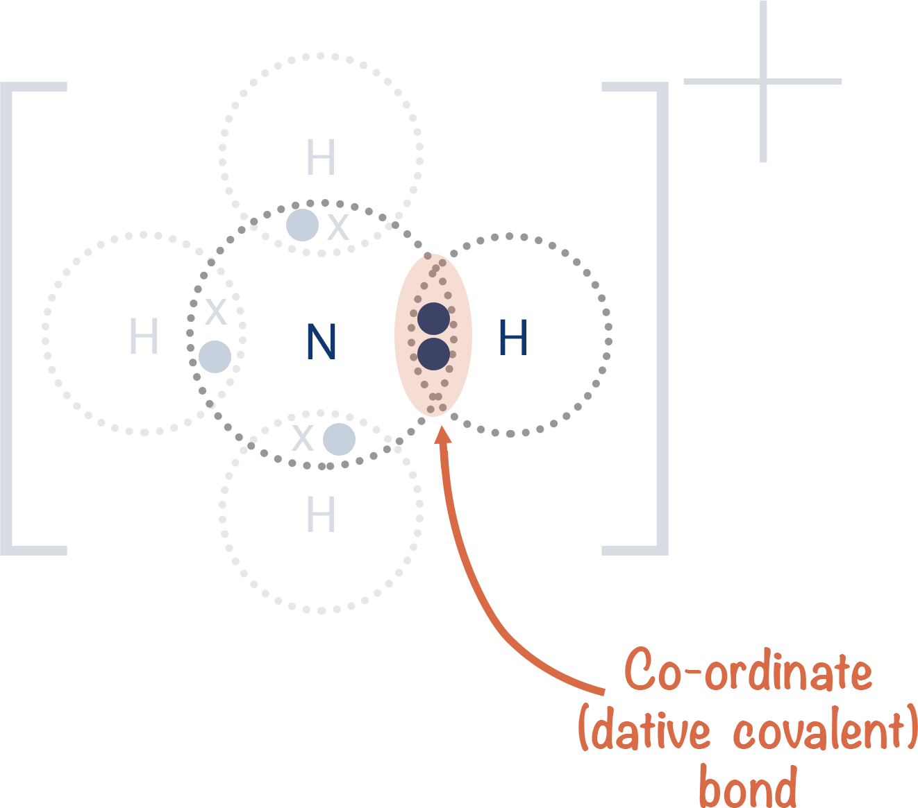 <p>The complete shared pair of electrons given by a single atom (Donner) </p>