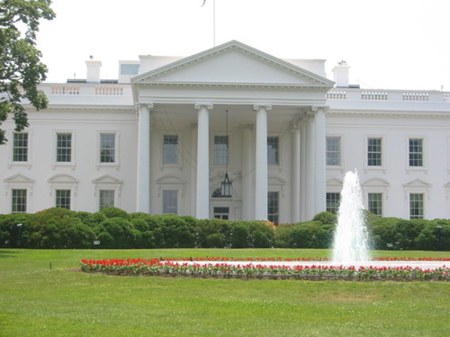 <p>The president</p>