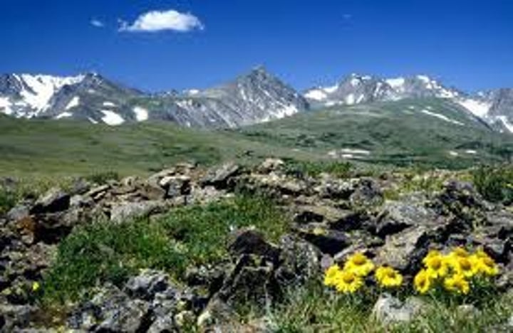 <p>Relating to the land (ie, not aquatic).</p>