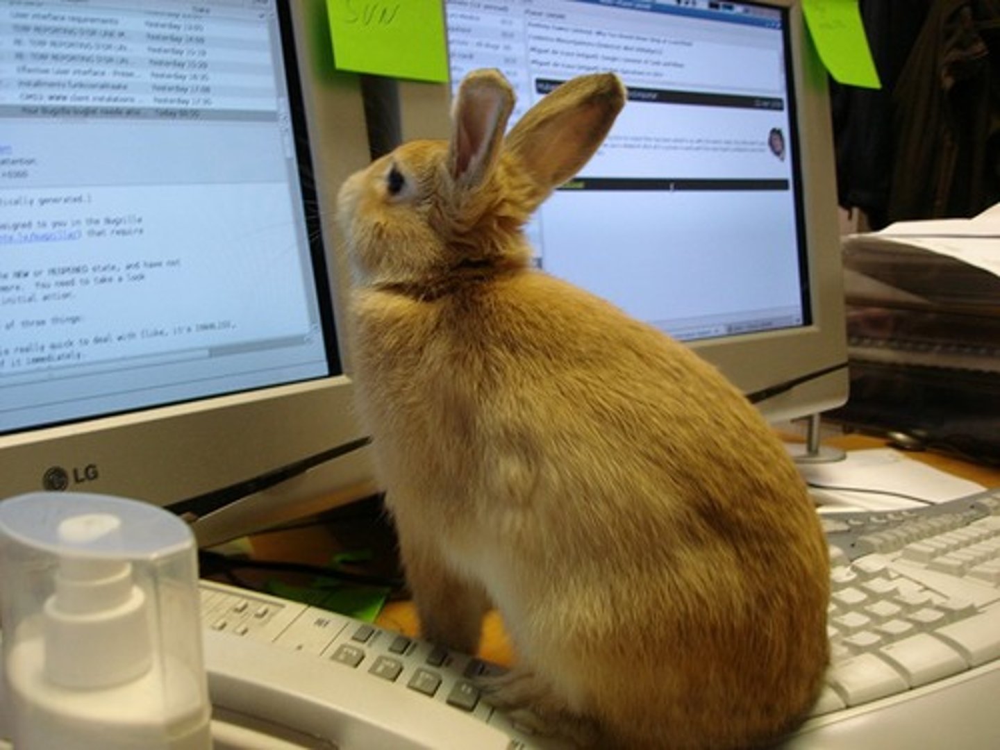 <p>to read an email</p>