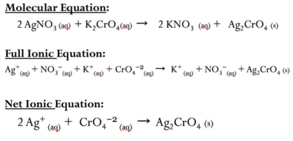 <p>an equation that shows dissolved ionic compounds as dissociated free ions, they need balanced charges on each side</p>