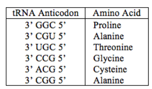 A part of an mRNA molecule with the following sequence is being read by a ribosome: 5' CCG-ACG 3' (mRNA). The dipeptide that will form will be 

a. cysteine-alanine. 

b. proline-threonine. 

c. glycine-cysteine. 

d. alanine-alanine. 

e. threonine-glycine.