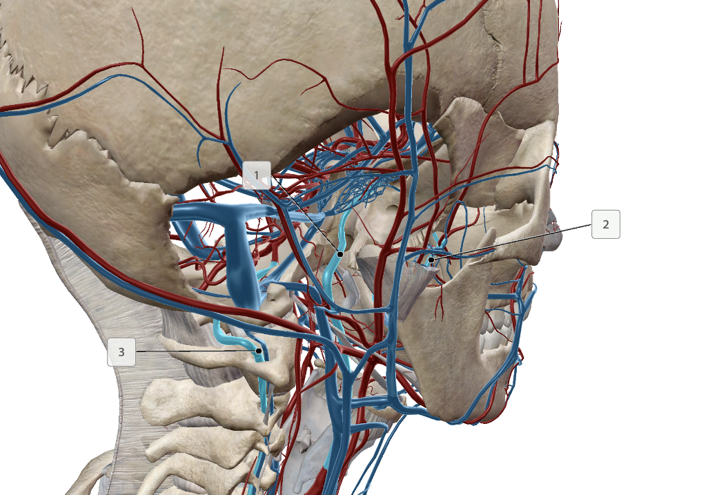 <p>What are these</p>