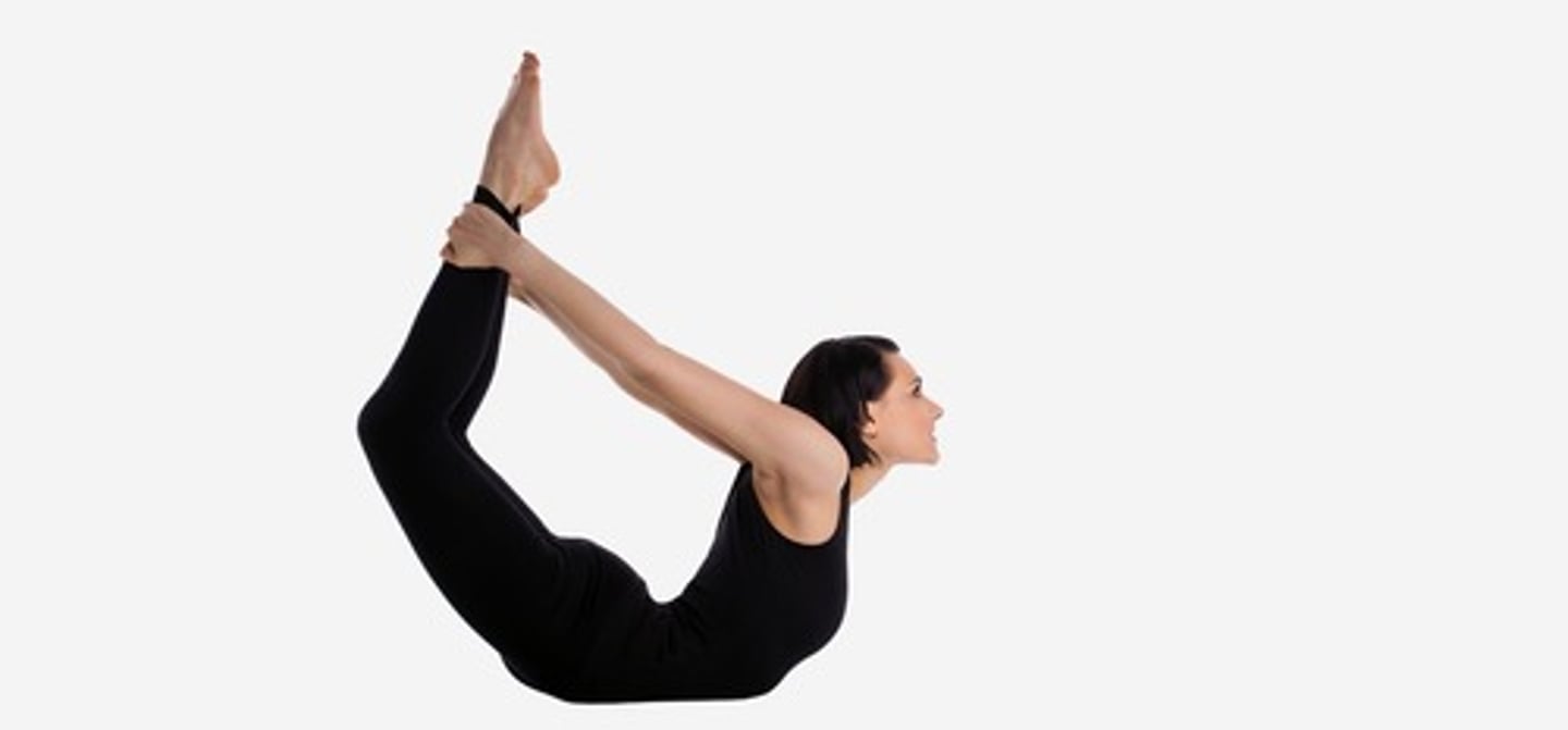 <p>Backbending Poses</p>