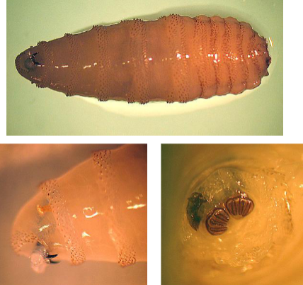 <p>What is this?</p>