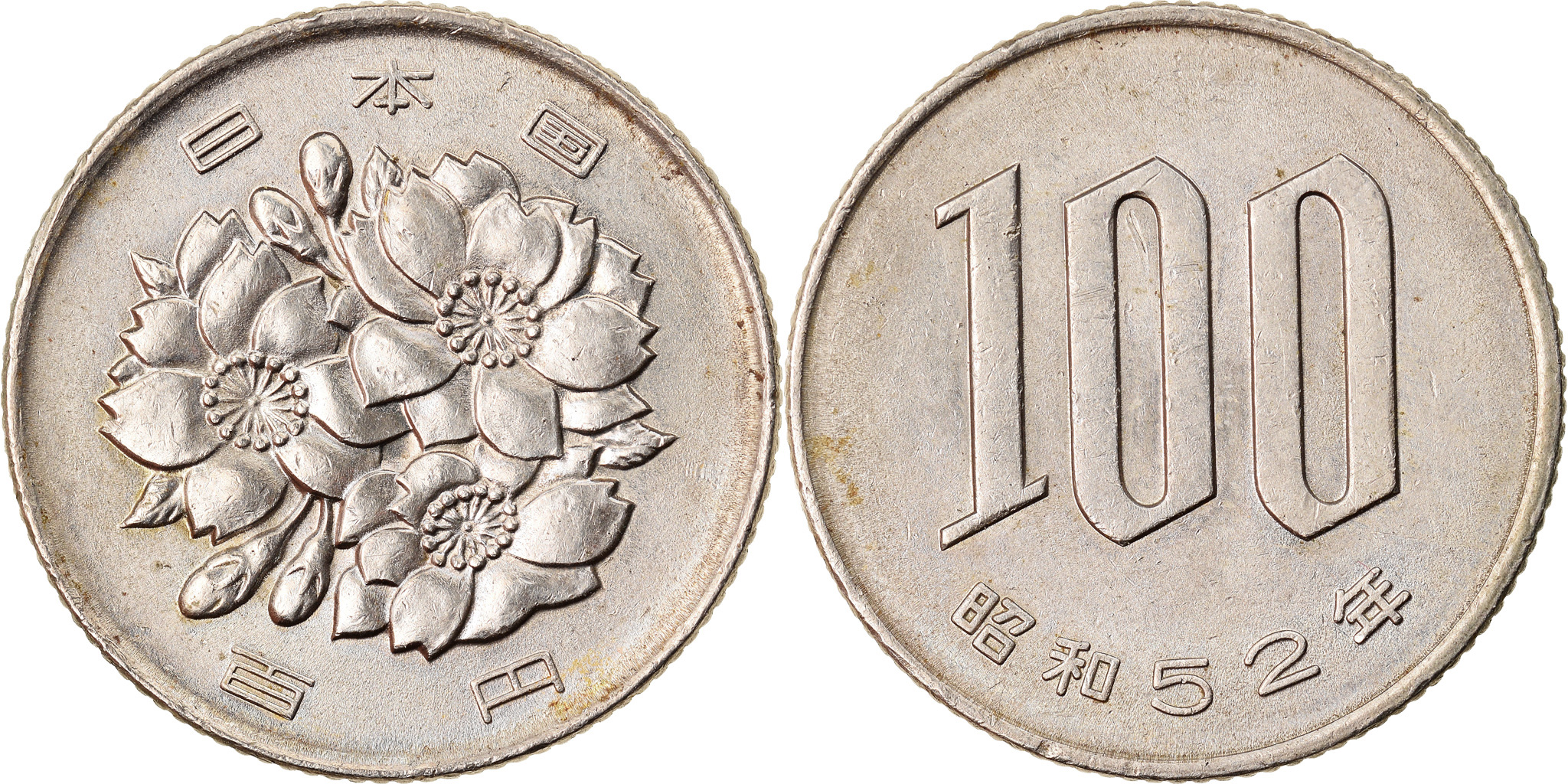<p>100 yen coin</p>