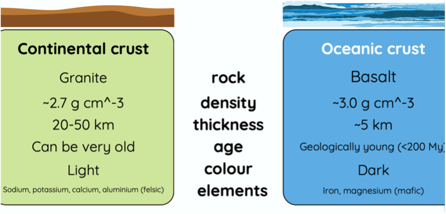 <p>Continental crusts are <strong>thicker</strong> and <strong>less dense</strong>, primarily composed of <strong>granitic</strong> rocks, while ocean crusts are <strong>thinner</strong> and <strong>denser</strong>, primarily composed of <strong>basaltic</strong> rocks. This difference affects their buoyancy and behavior at tectonic plate boundaries. </p>