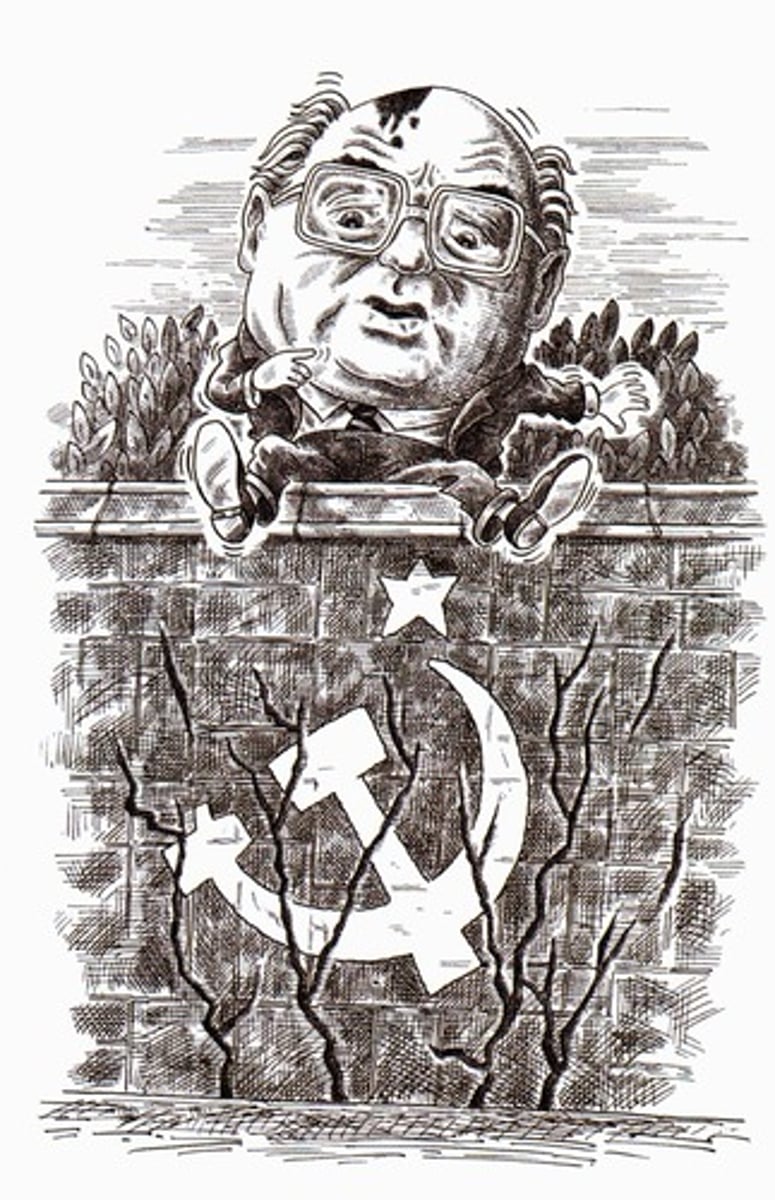 <p>New Soviet policies of capitalism and openness (with freedoms) Gorbachev: led to the fall of the soviet union tho</p>