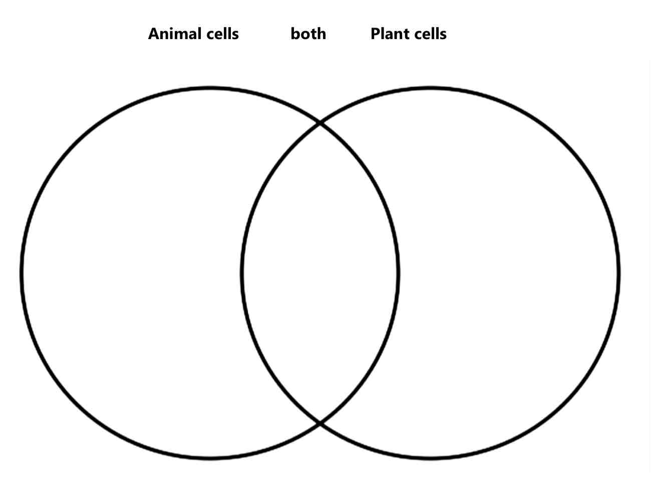 <p>Complete the Venn Diagram:</p>