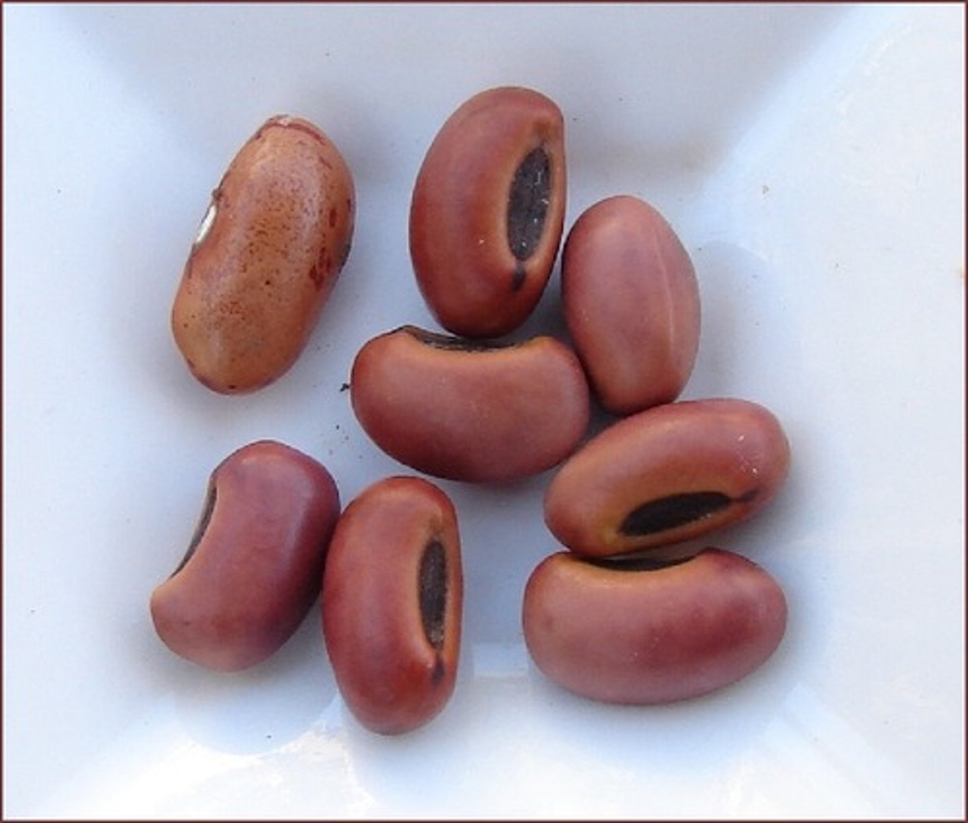 <p>small seed in fruit — pestka / ziarenko</p>