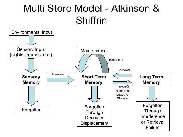 <p>Atkinson and Shiffring</p>