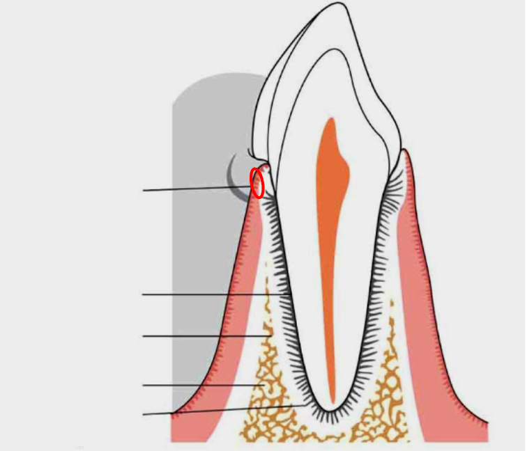 <p>What is this?</p>