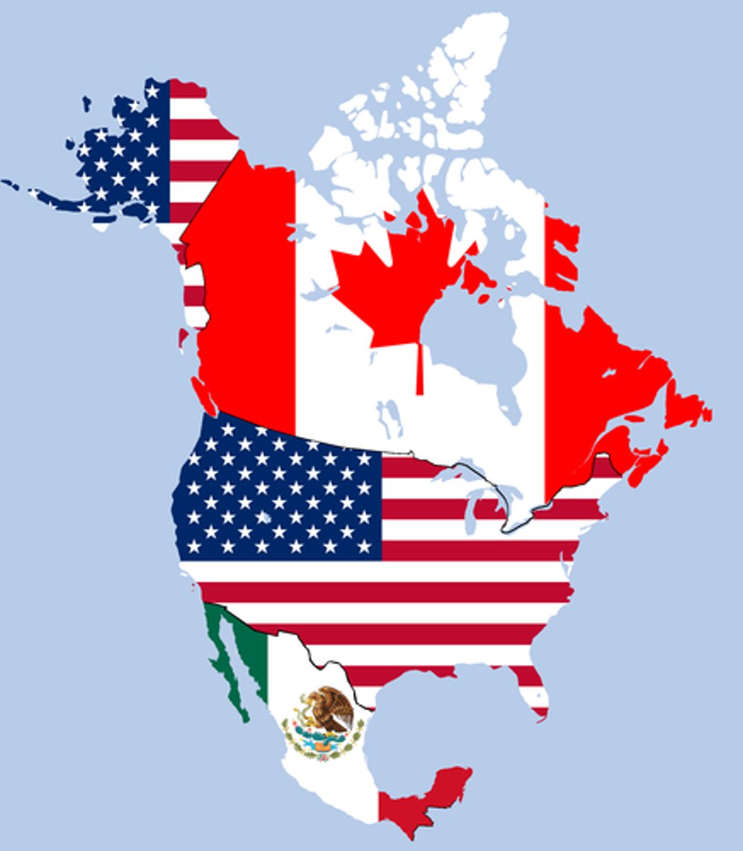 <p>economic alliance to gradually eliminate tariffs and trade barriers between the U.S., Canada, Mexico</p>
